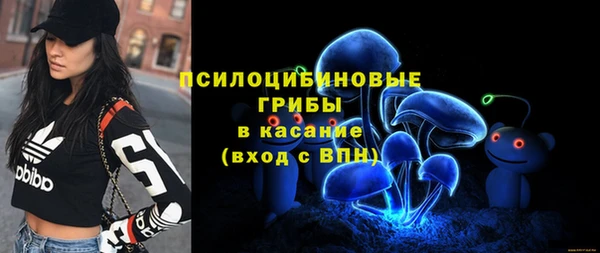 хмурый Каменка