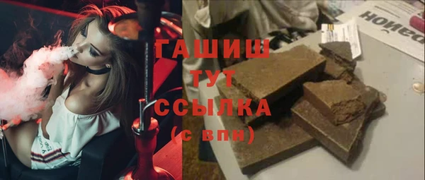 хмурый Каменка