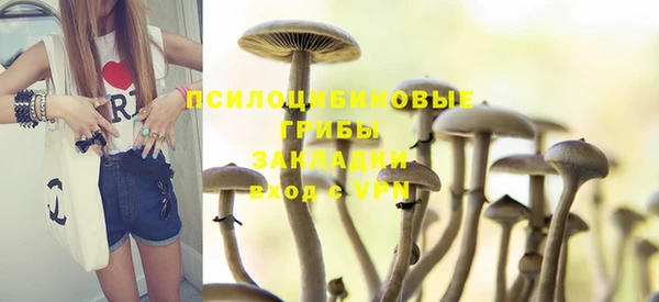хмурый Каменка