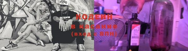 хмурый Каменка