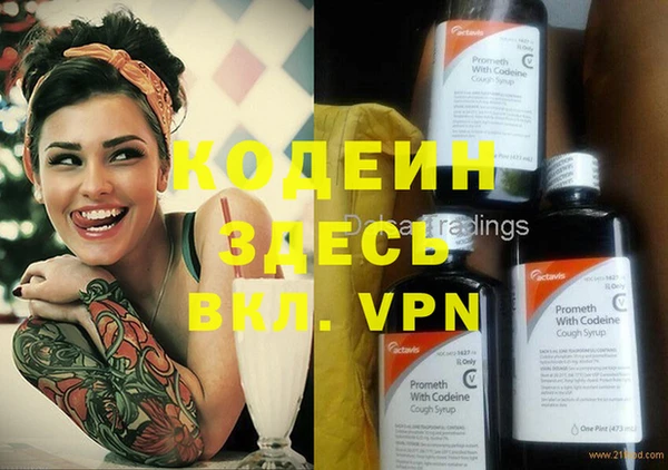 хмурый Каменка