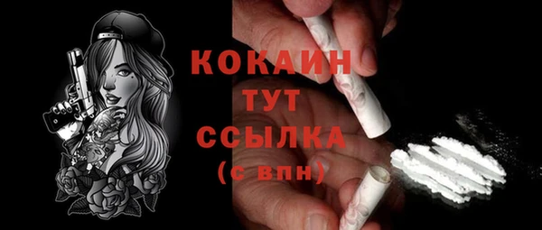 гидра Каменск-Шахтинский