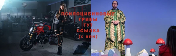 ПСИЛОЦИБИНОВЫЕ ГРИБЫ Карпинск