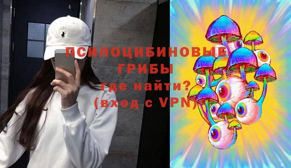 гидра Каменск-Шахтинский