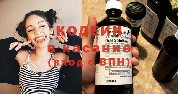хмурый Каменка
