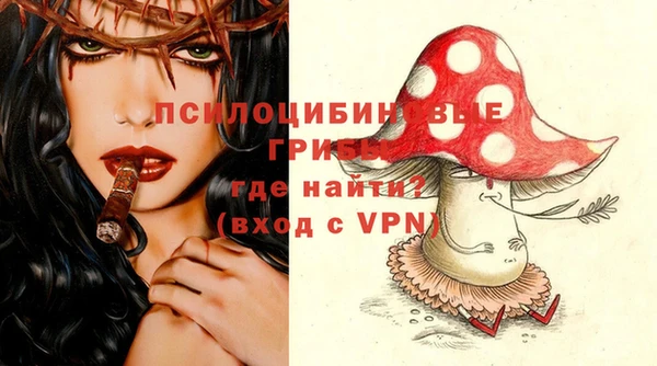 spice Каменногорск