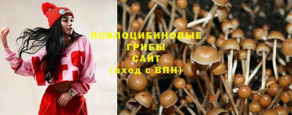 spice Каменногорск
