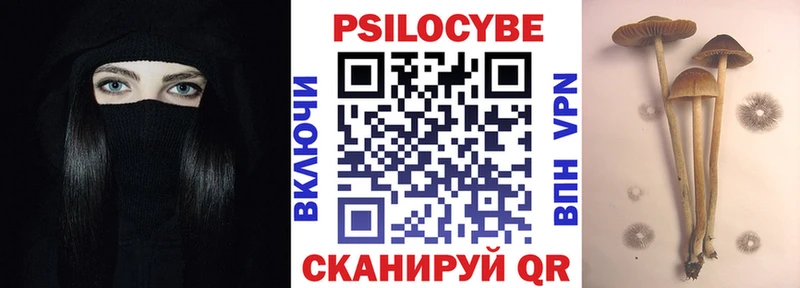 Галлюциногенные грибы Cubensis  Купить закладки  Новая Ляля 